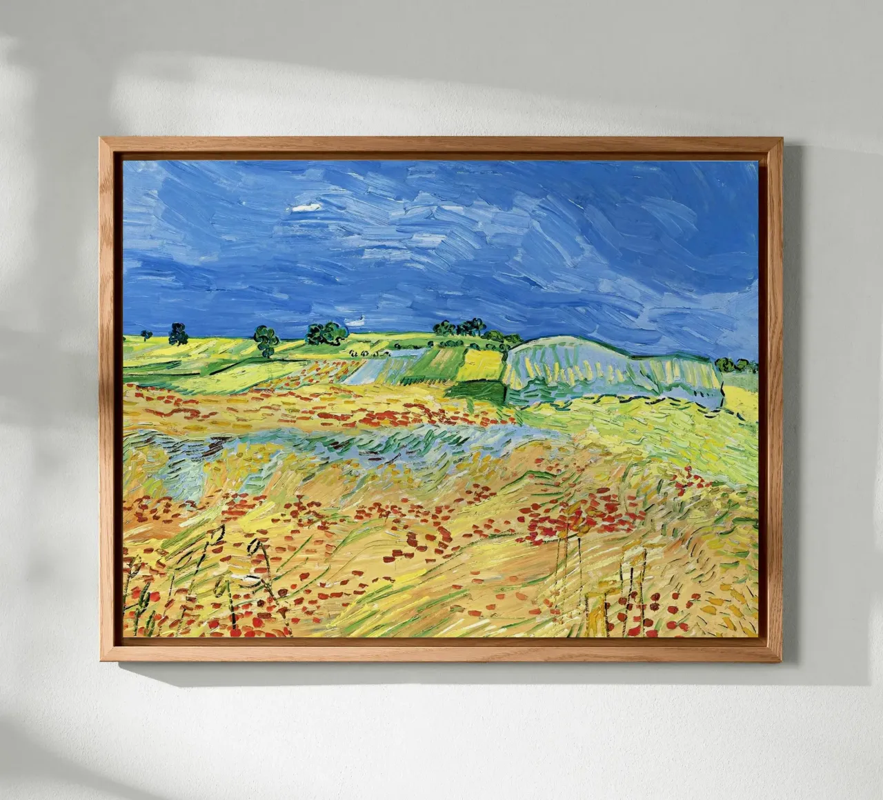 Campi con papaveri in fiore alluminio dibond da Roy Terrell