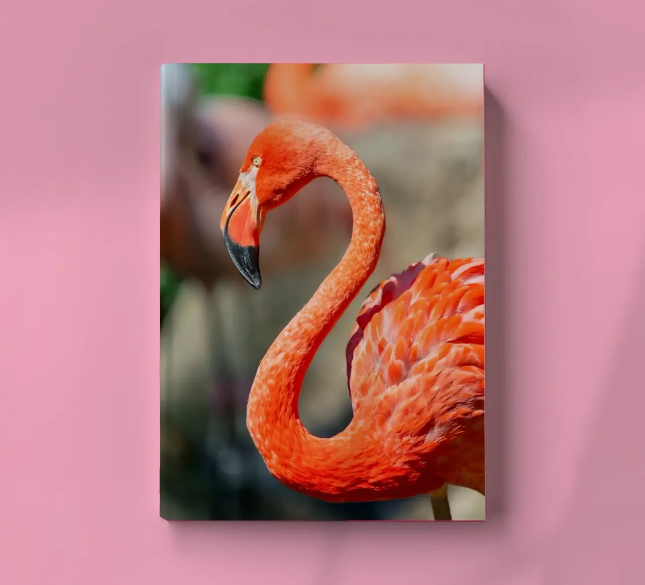 Coloured flamingo close-up notebook by DiveDuke
