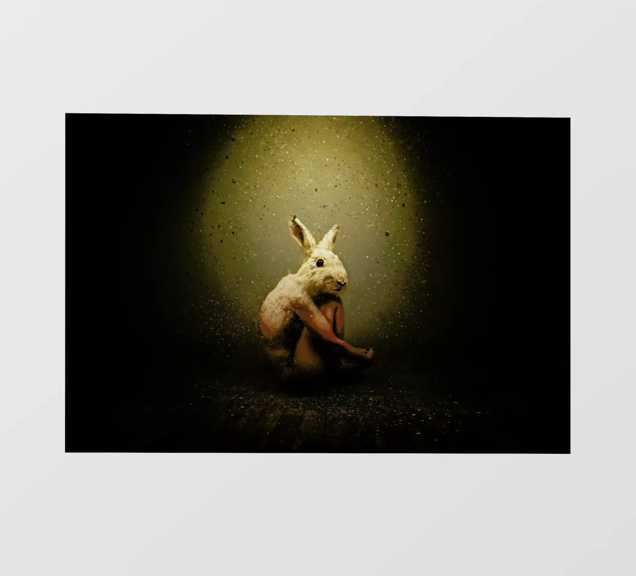 Bunny pellicola backlit da Tupho