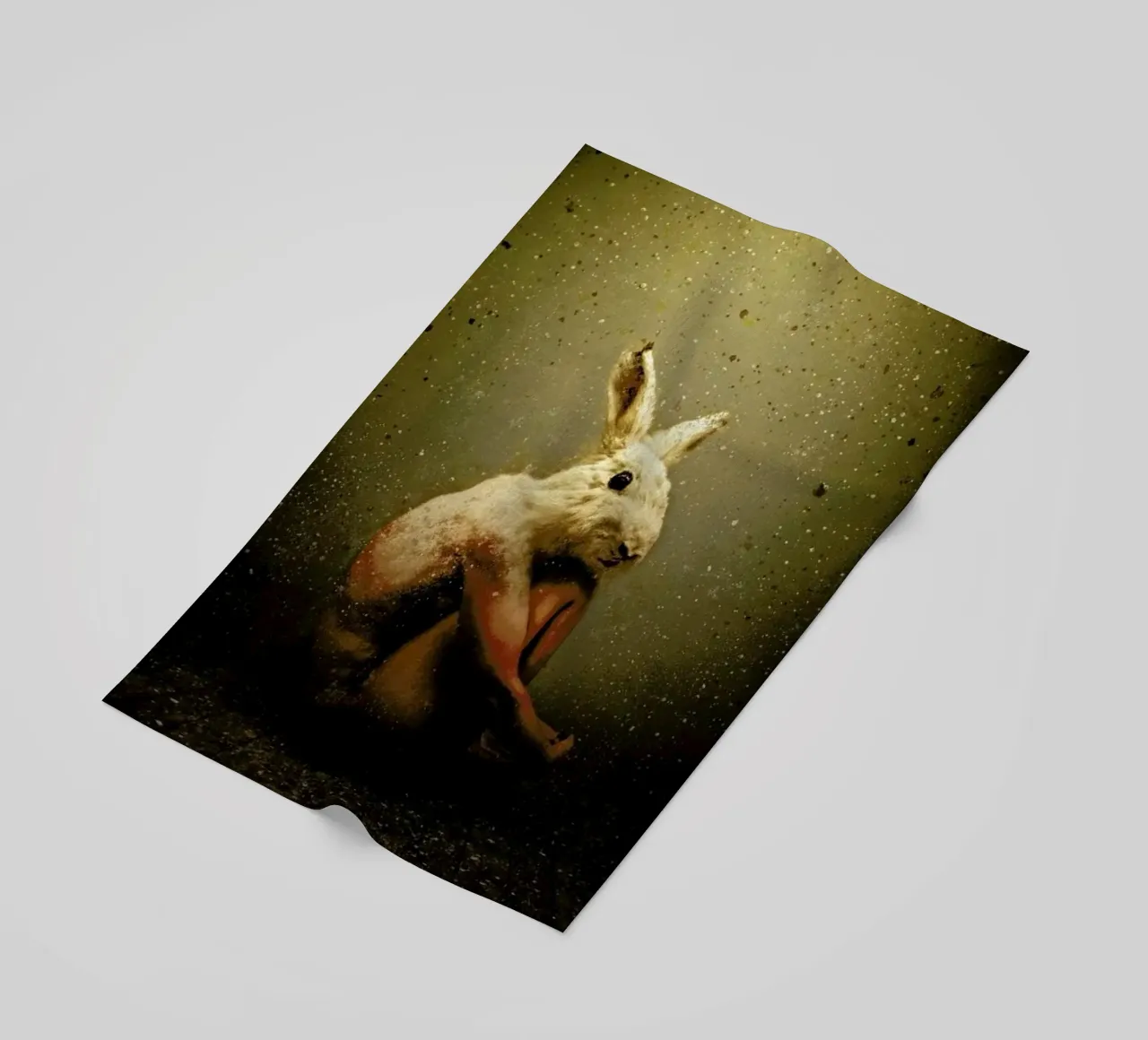 Bunny telo mare da Tupho