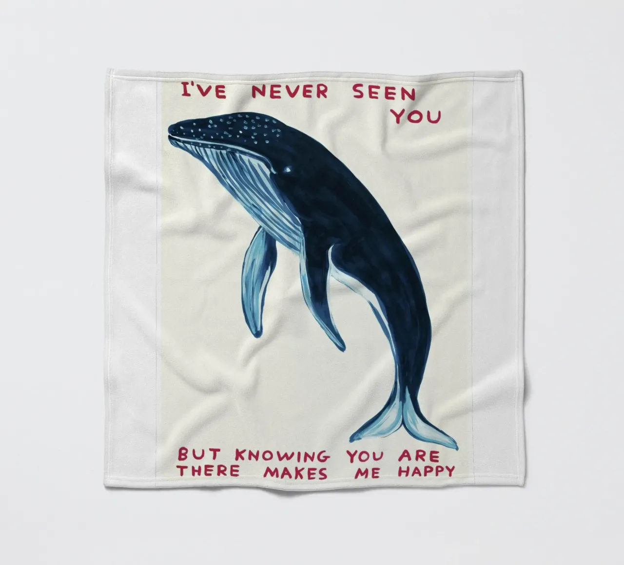 I Have Never Seen You David Shrigley Whell coperta in pile da RANDER J