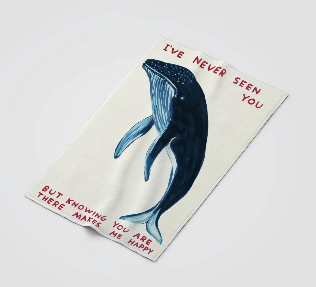 I Have Never Seen You David Shrigley Whell coperta in pile da RANDER J