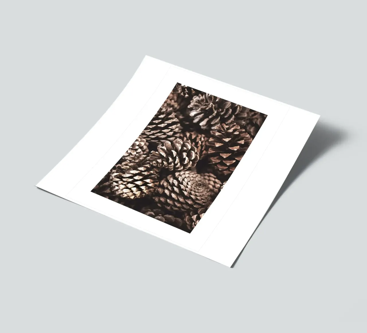 Pine Cones sticker sheet by Isaac Murray