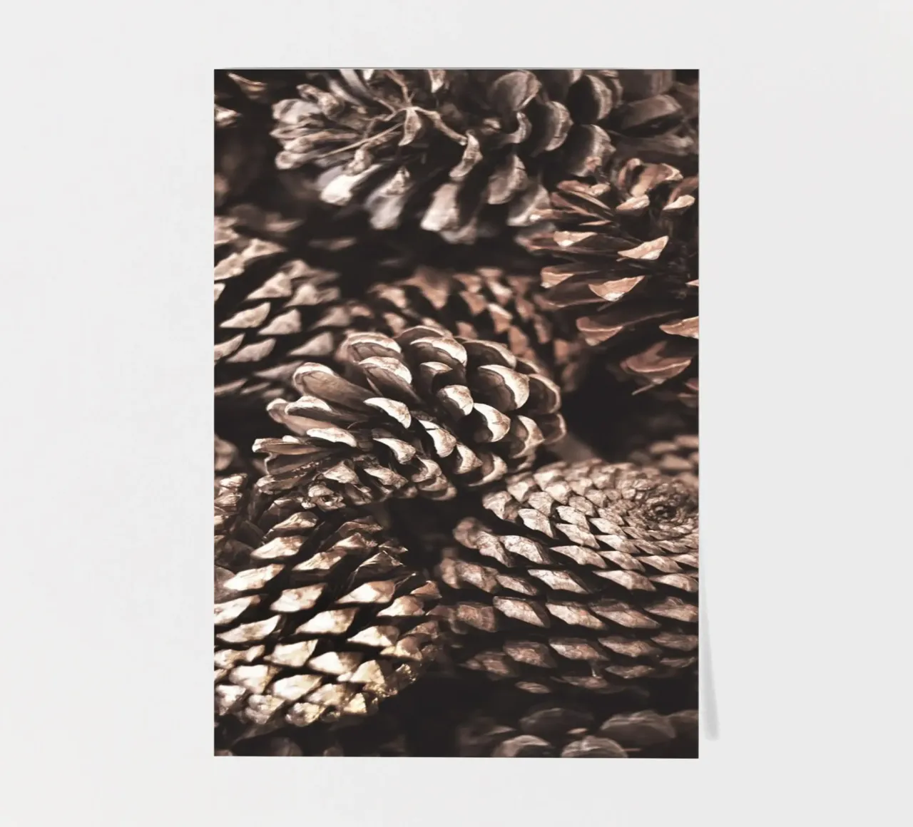 Pine Cones sticker sheet by Isaac Murray