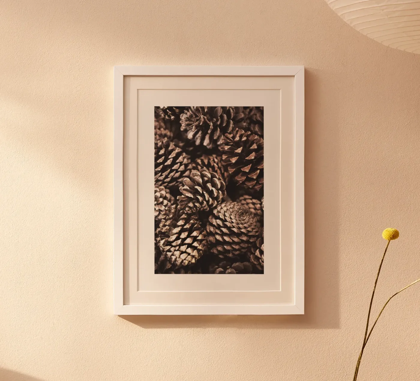 Pine Cones poster by Isaac Murray