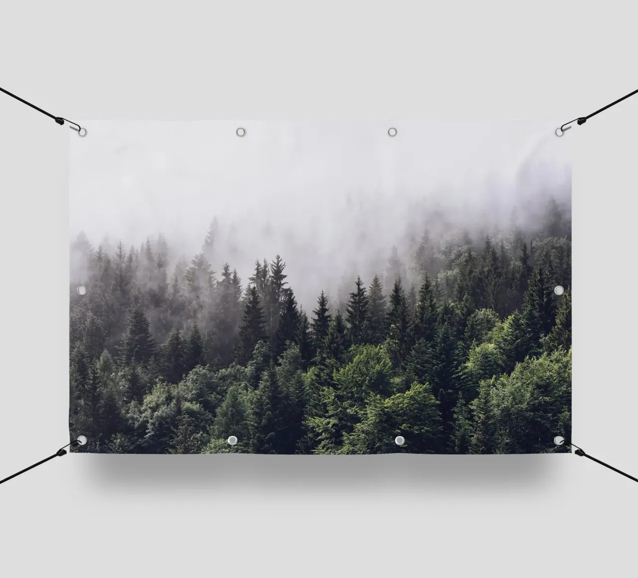 Nebbia della foresta telo in pvc da Isaac Murray