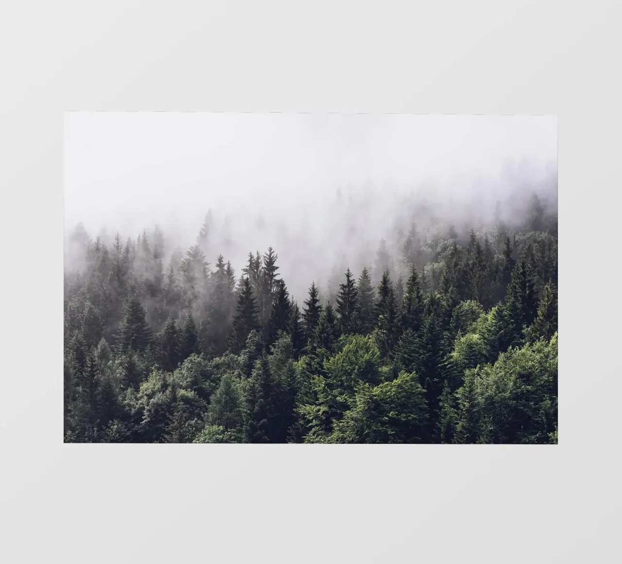 Nebbia della foresta telo in pvc da Isaac Murray