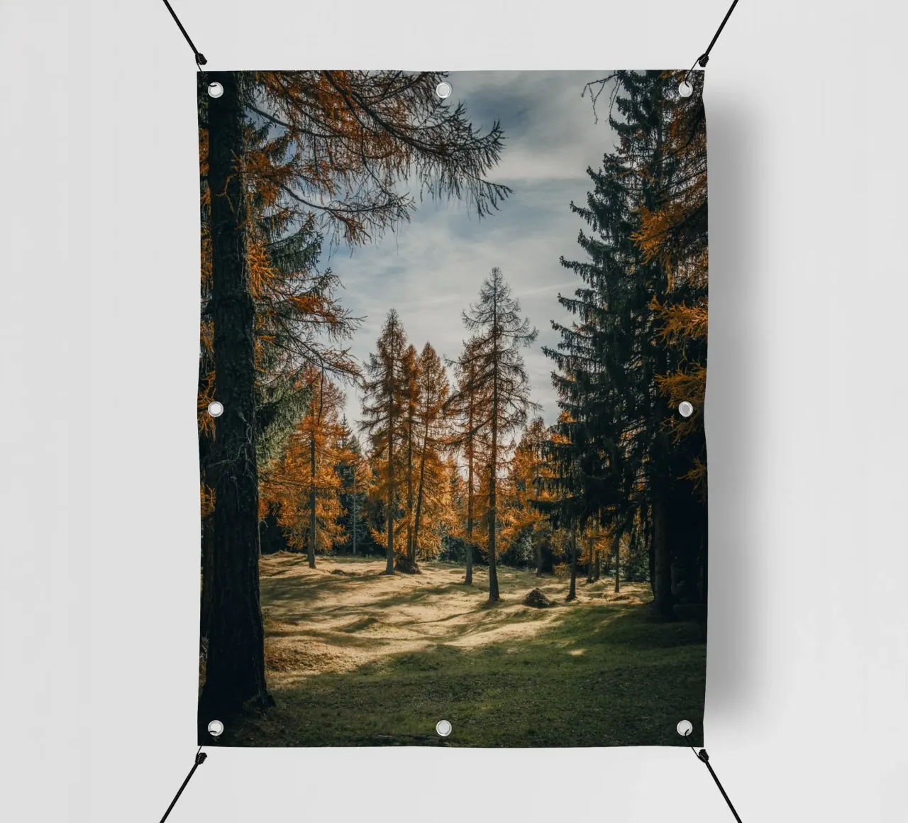 Herbstliche Lärchen in der Schweiz PVC Plane von mbgraphx2