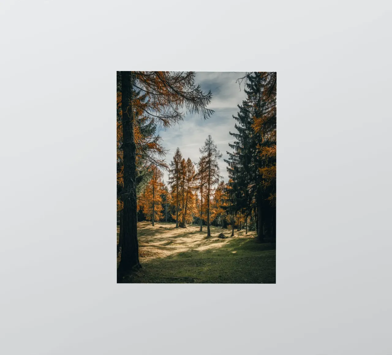 Herbstliche Lärchen in der Schweiz Sticker von mbgraphx2
