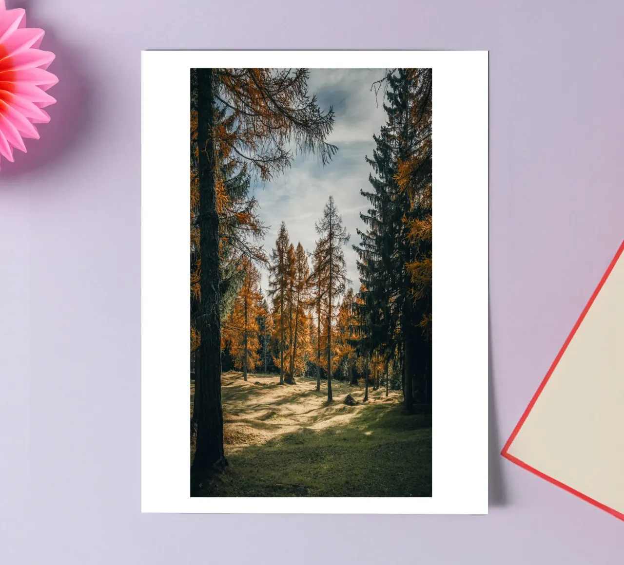 Herbstliche Lärchen in der Schweiz Stickerbogen von mbgraphx2
