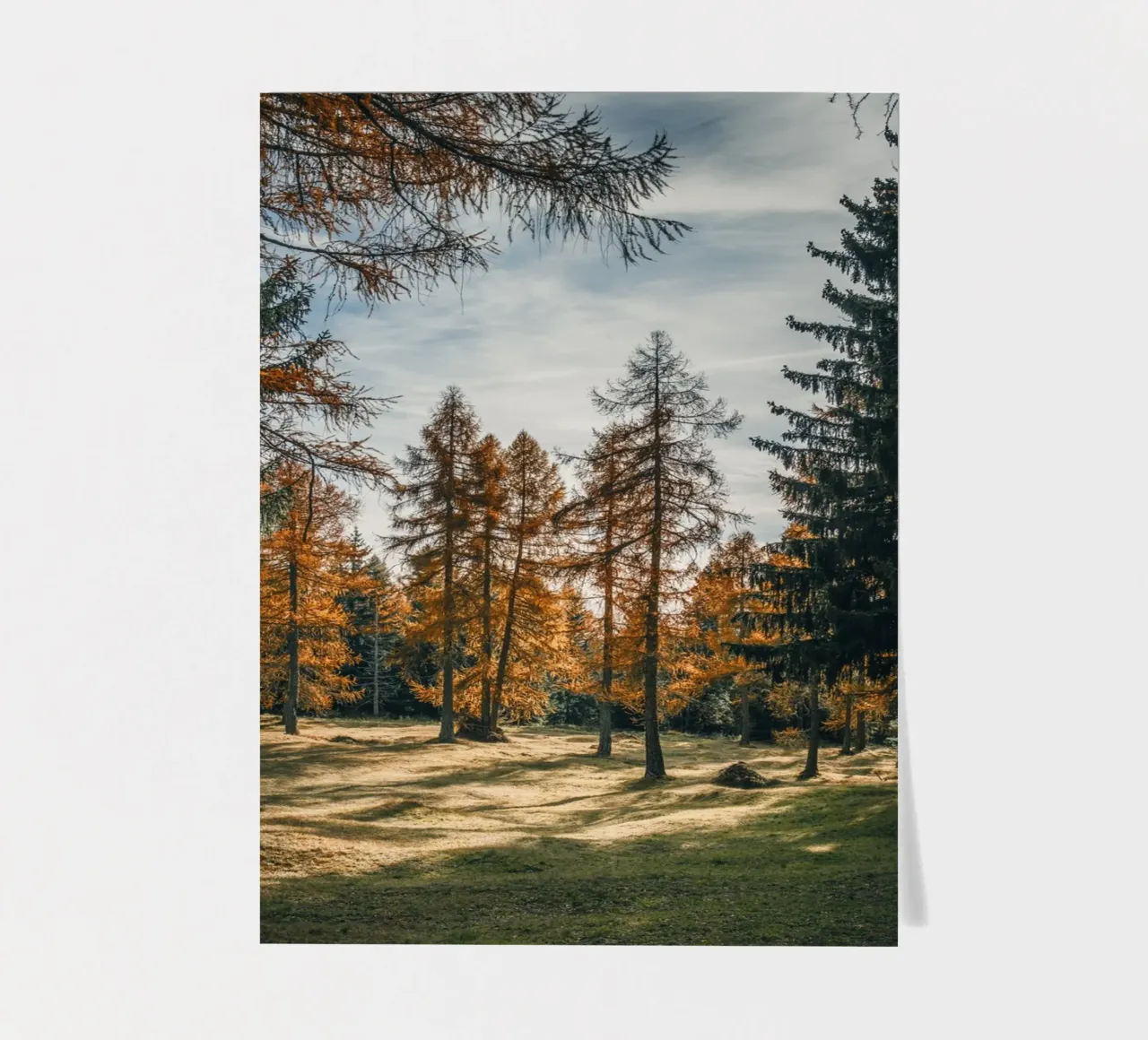 Herbstliche Lärchen in der Schweiz Stickerbogen von mbgraphx2