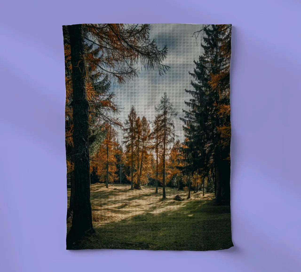 Larici d'autunno in Svizzera canovaccio da cucina da mbgraphx2