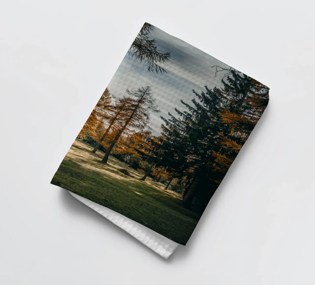 Larici d'autunno in Svizzera canovaccio da cucina da mbgraphx2