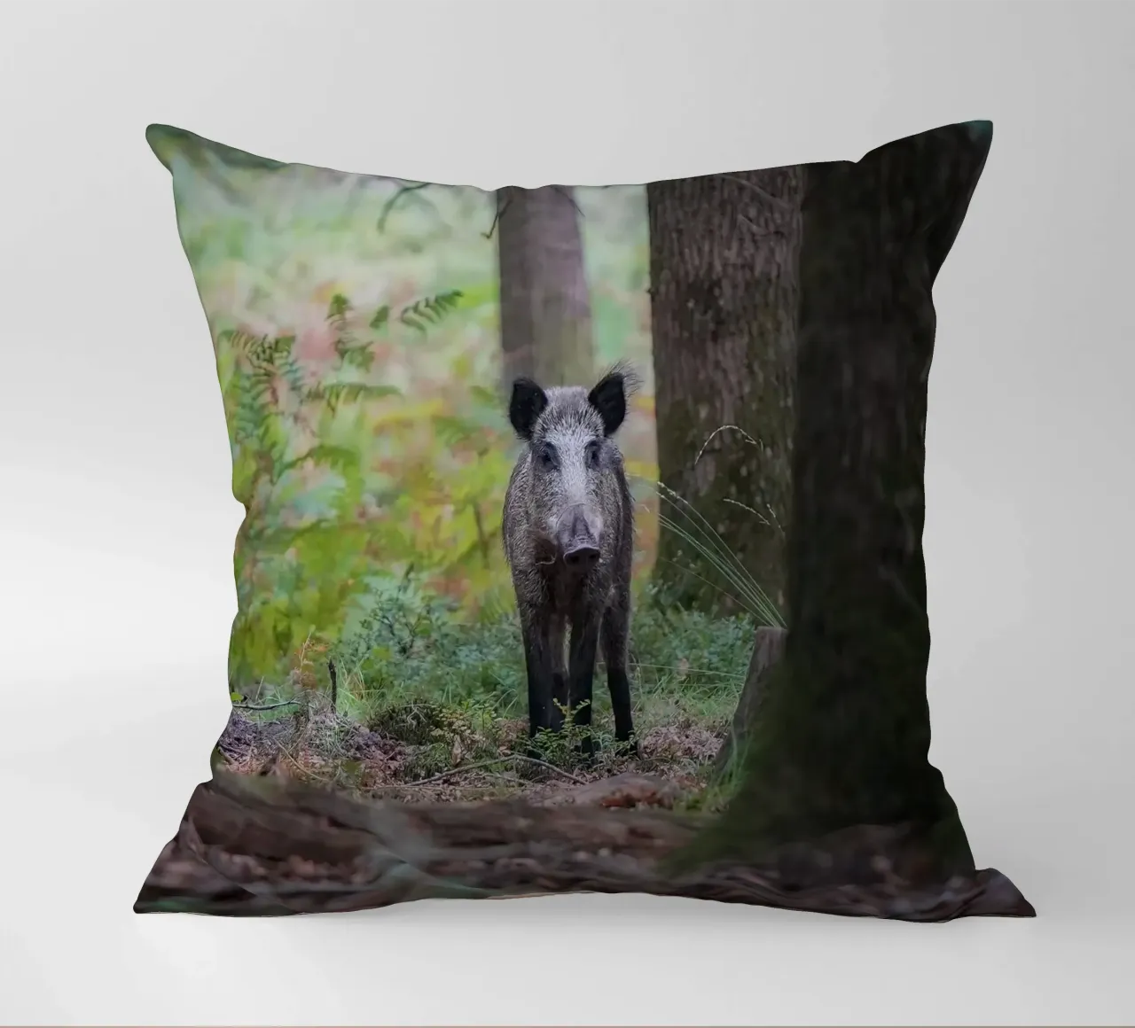 Cinghiale cuscino da Tom's Wildlife