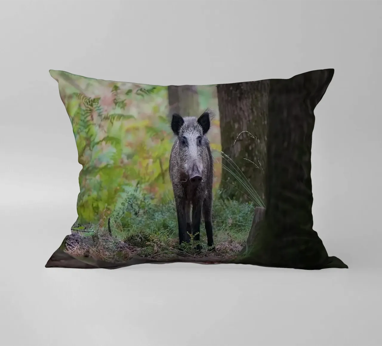 Cinghiale cuscino da Tom's Wildlife