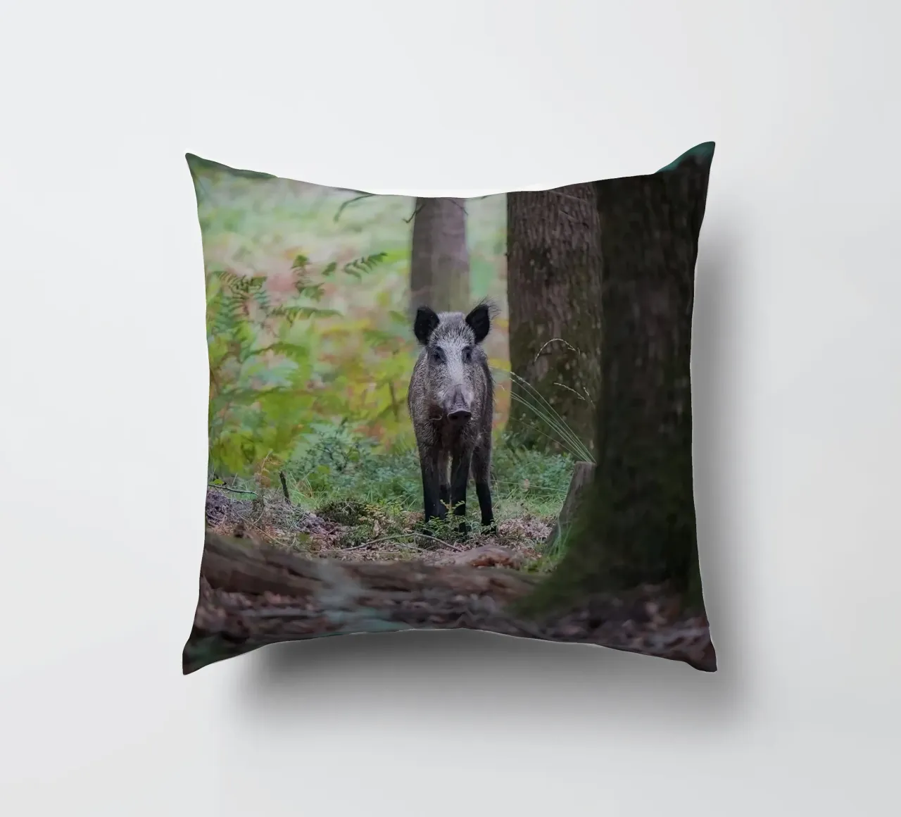 Cinghiale cuscino da Tom's Wildlife