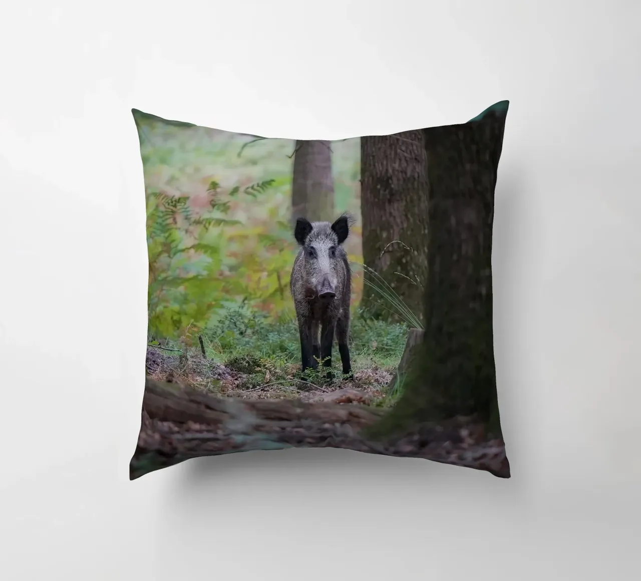 Cinghiale cuscino da Tom's Wildlife