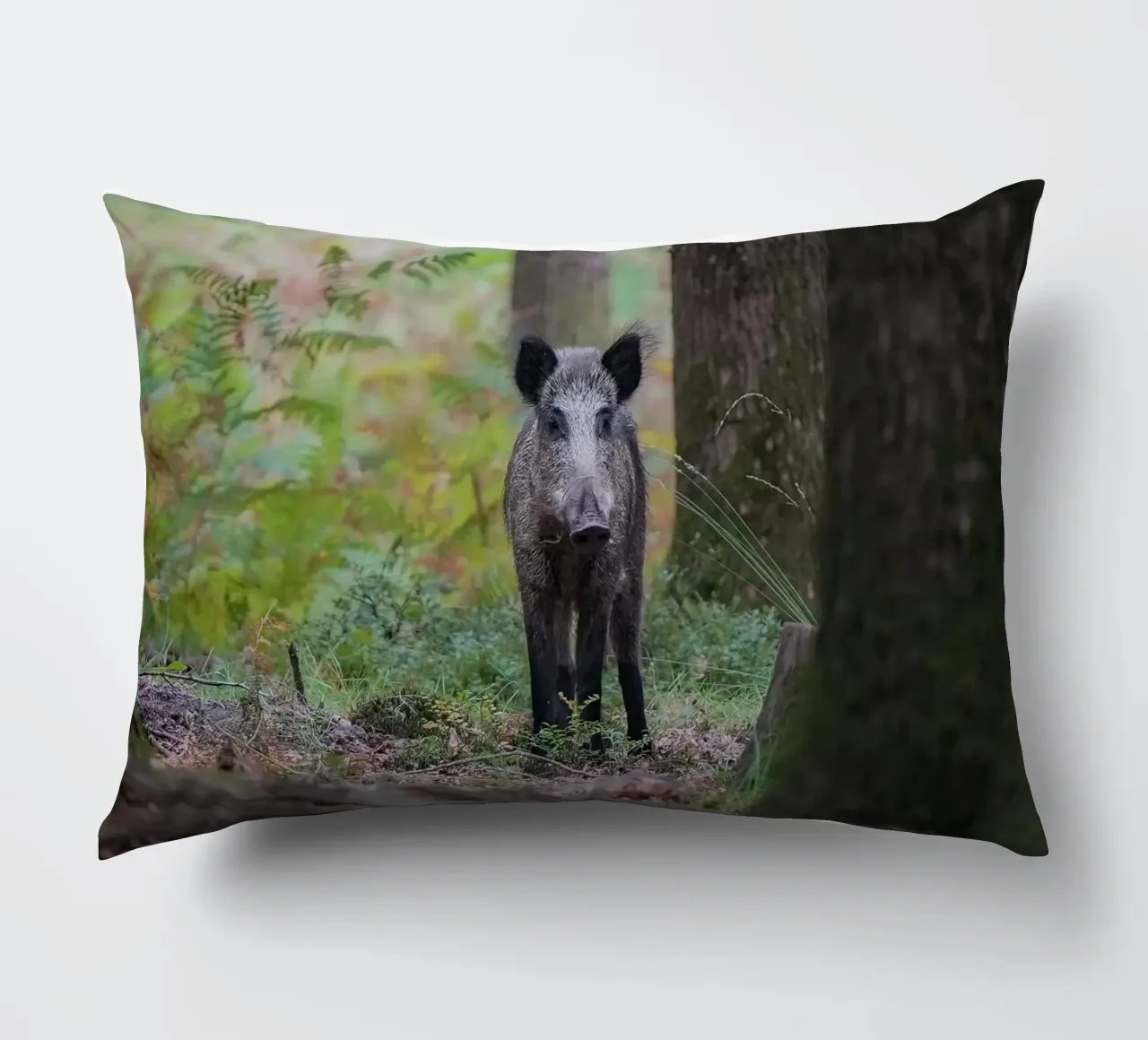 Cinghiale cuscino da Tom's Wildlife