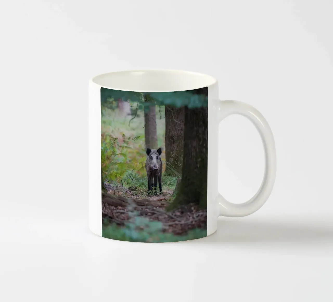 Cinghiale tazza in ceramica da Tom's Wildlife