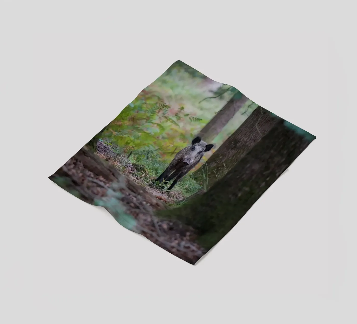 Wildschwein Fleecedecke von Tom's Wildlife