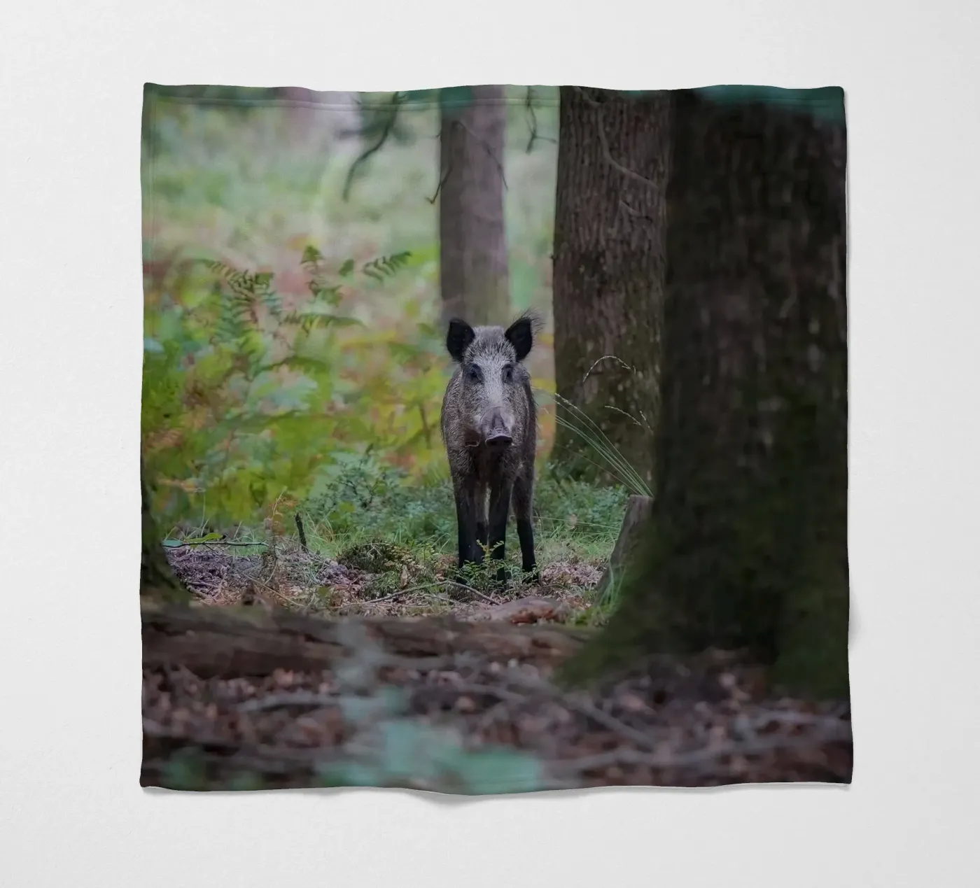 Wildschwein Fleecedecke von Tom's Wildlife