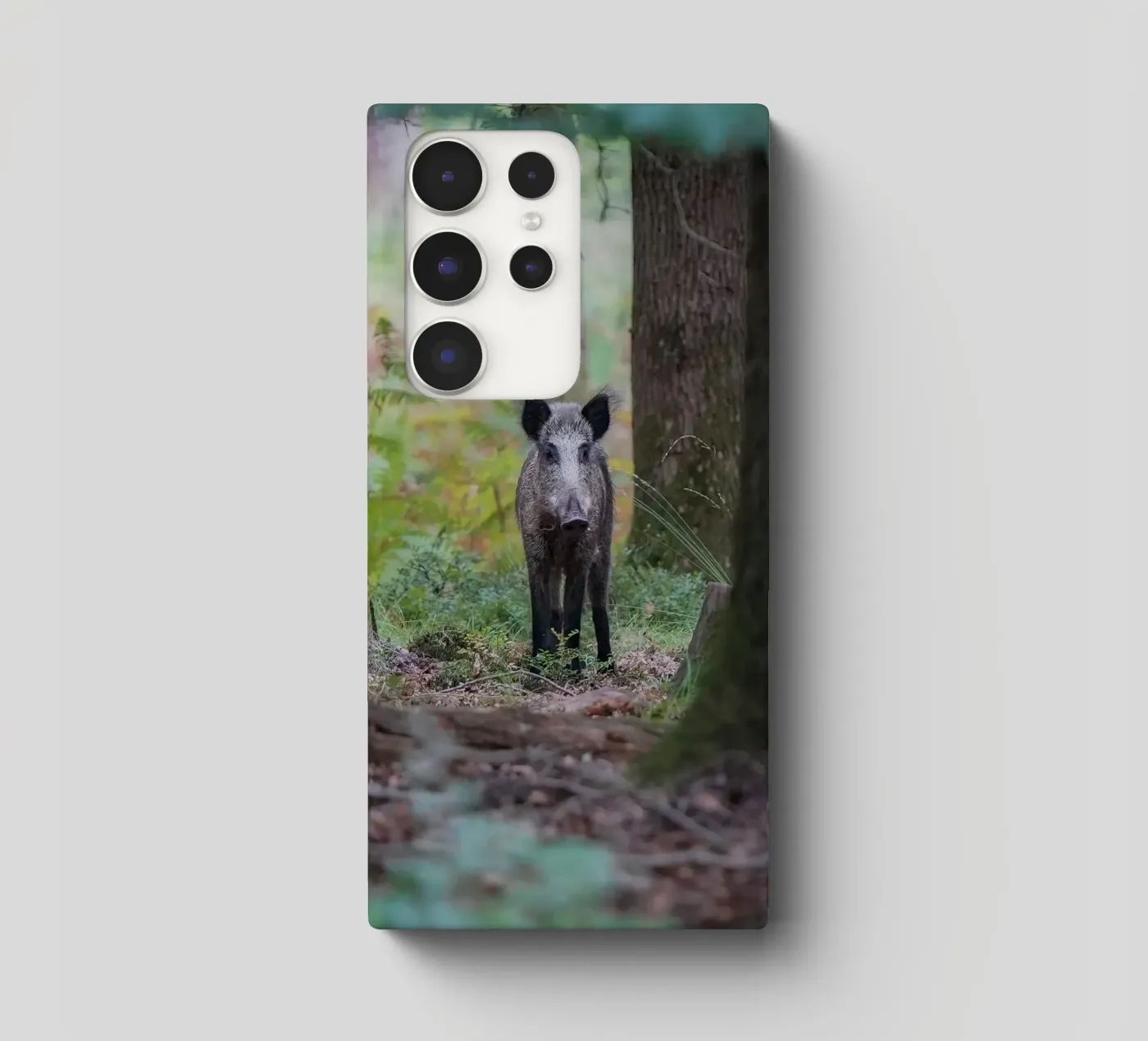 Cinghiale cover samsung da Tom's Wildlife