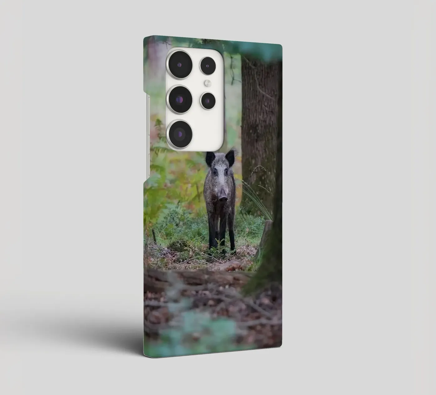 Cinghiale cover samsung da Tom's Wildlife