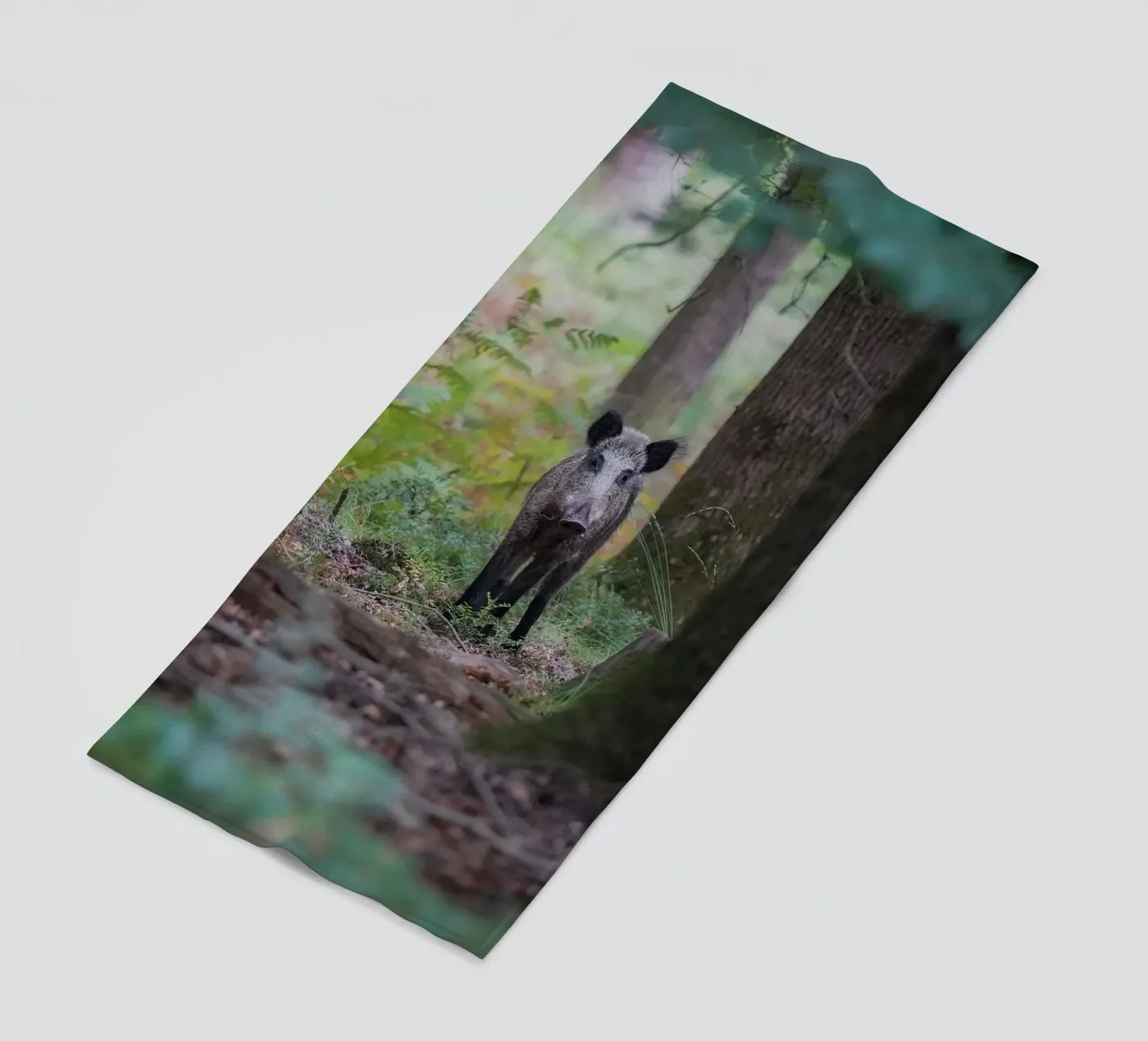 Wild zwijn strandhanddoek van Tom's Wildlife