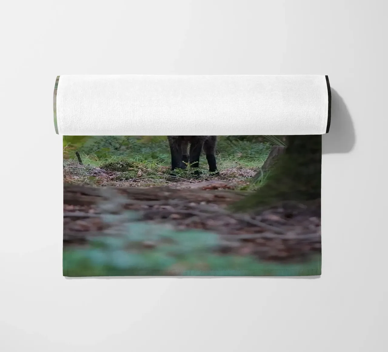 Cinghiale telo mare da Tom's Wildlife