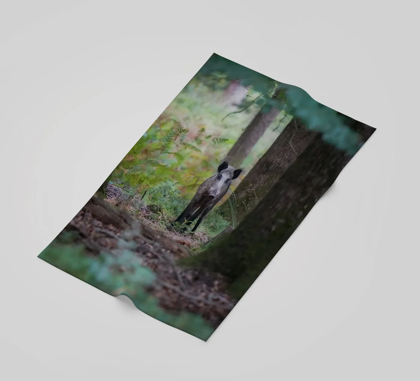 Wild zwijn strandhanddoek van Tom's Wildlife