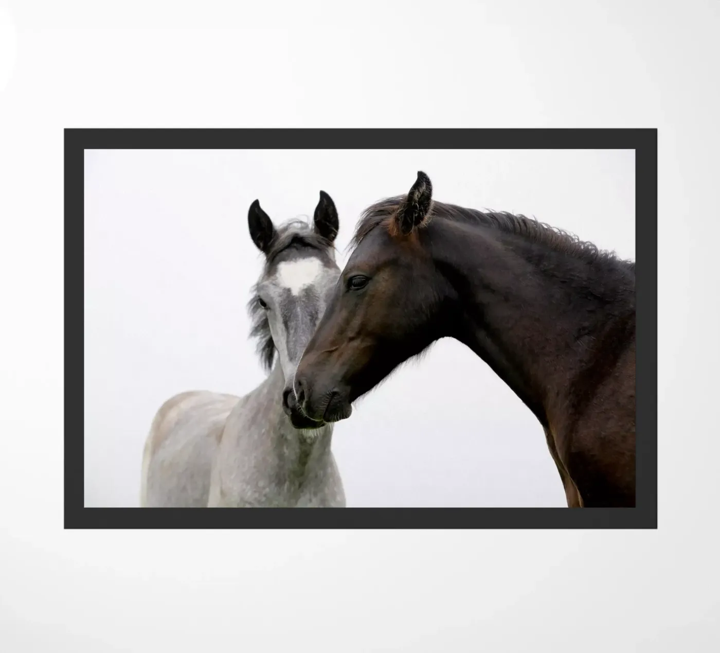 Due cavalli zerbino da Alexey