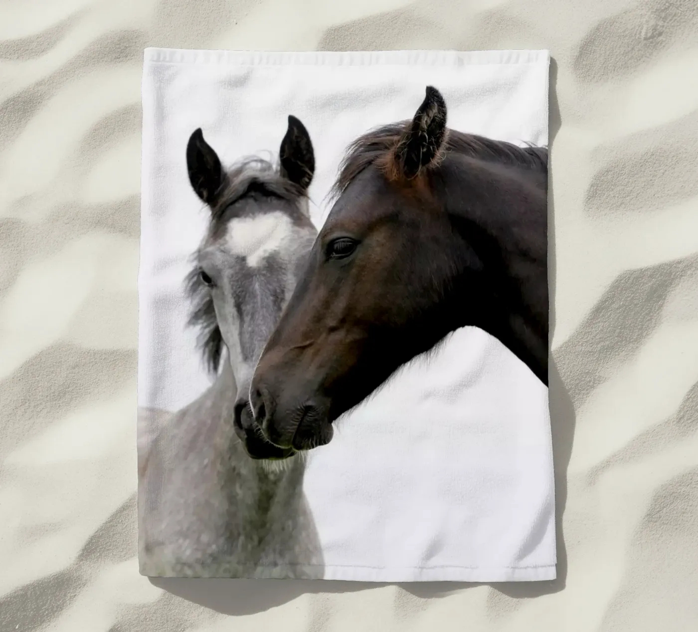 Due cavalli telo mare da Alexey