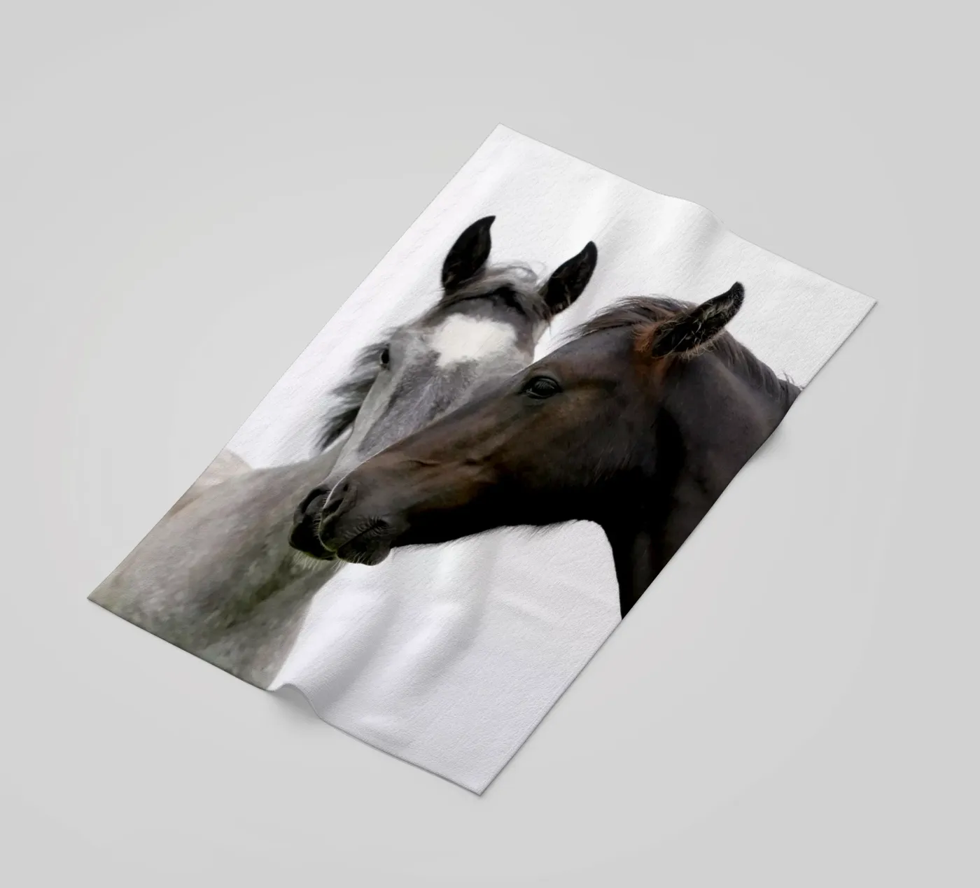 Due cavalli telo mare da Alexey