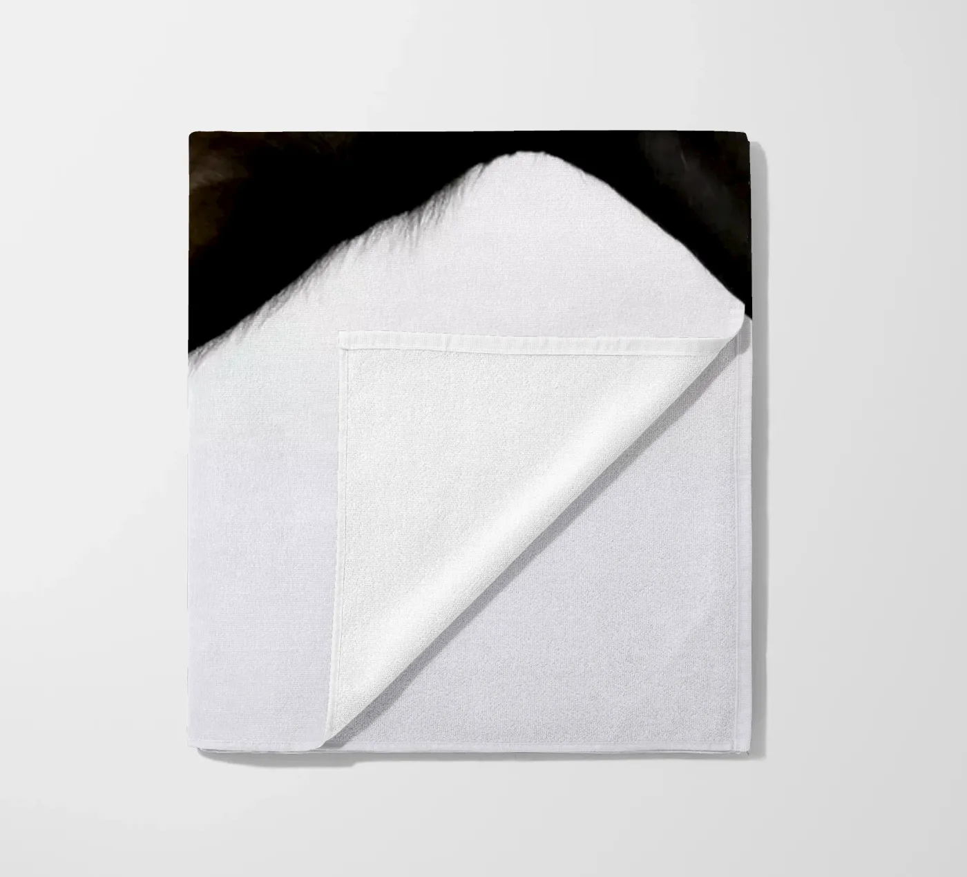 Due cavalli telo mare da Alexey