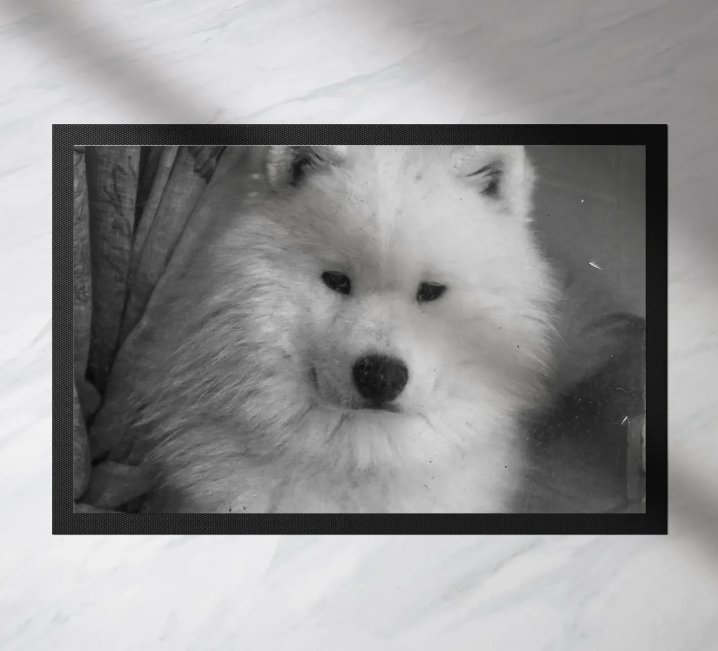 Cute Dog zerbino da Fjöllart
