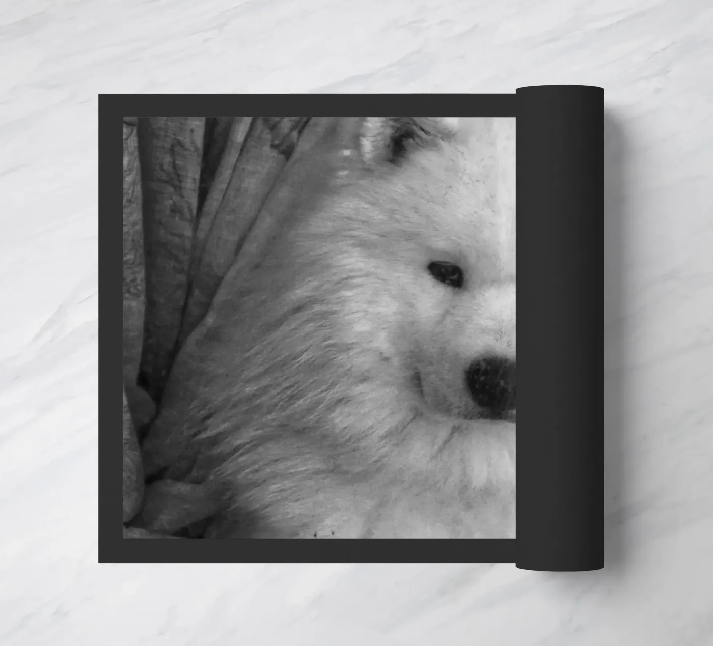 Cute Dog zerbino da Fjöllart