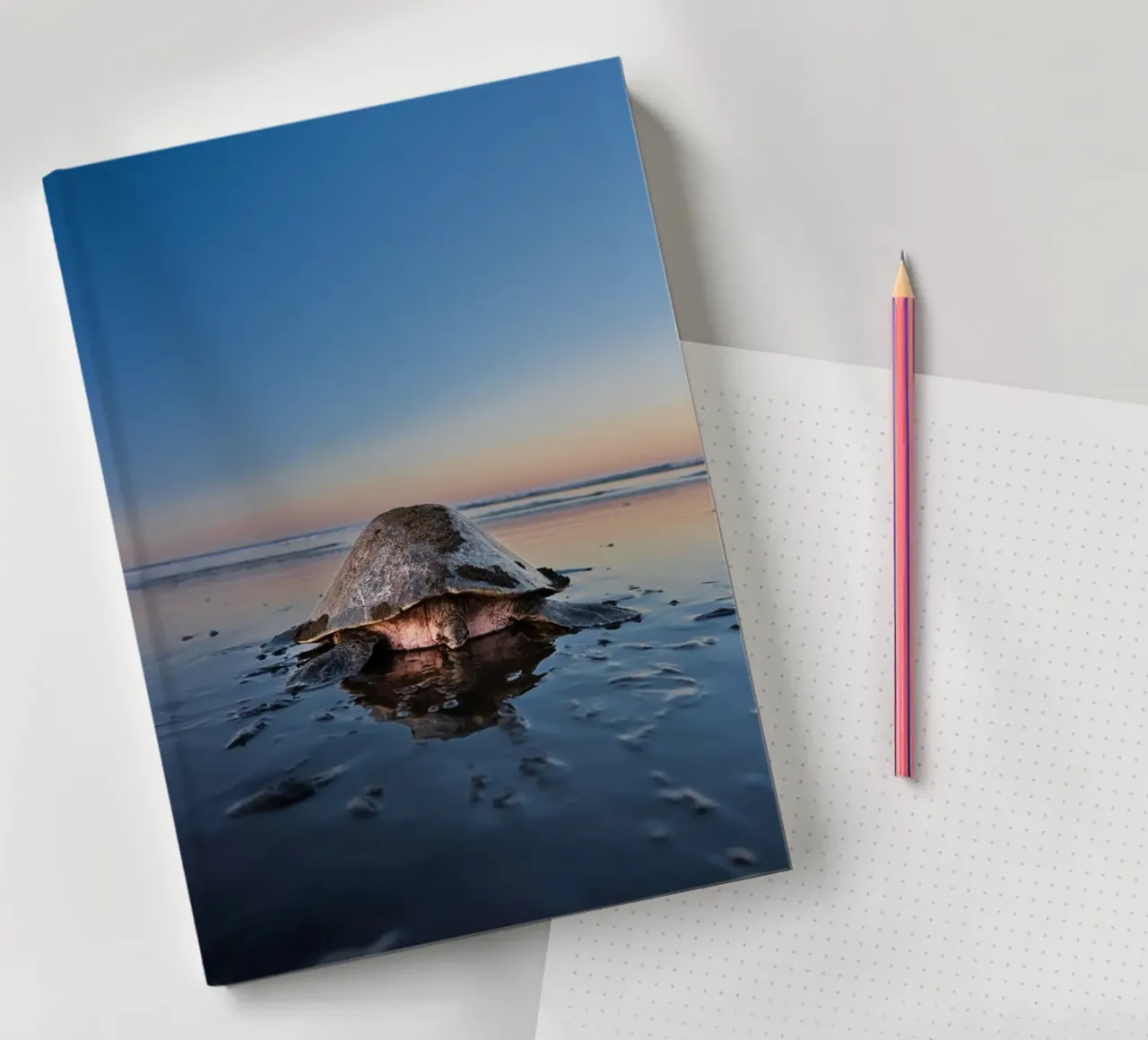 Mummy sea turtle on the beach on her way into the sea notebook by DiveDuke