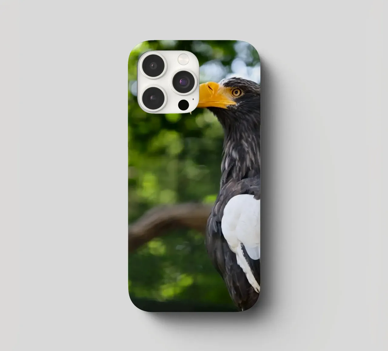 Adler in der Natur als Nahaufnahme iPhone Hülle von DiveDuke