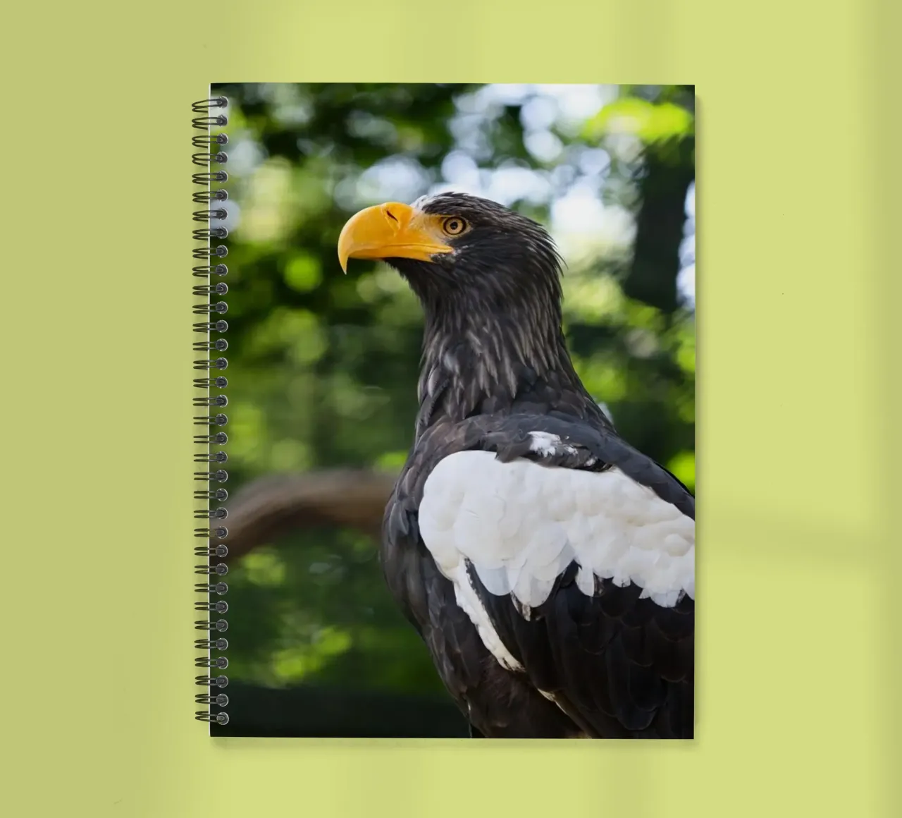 Close-up of an eagle in nature spiral notebook by DiveDuke