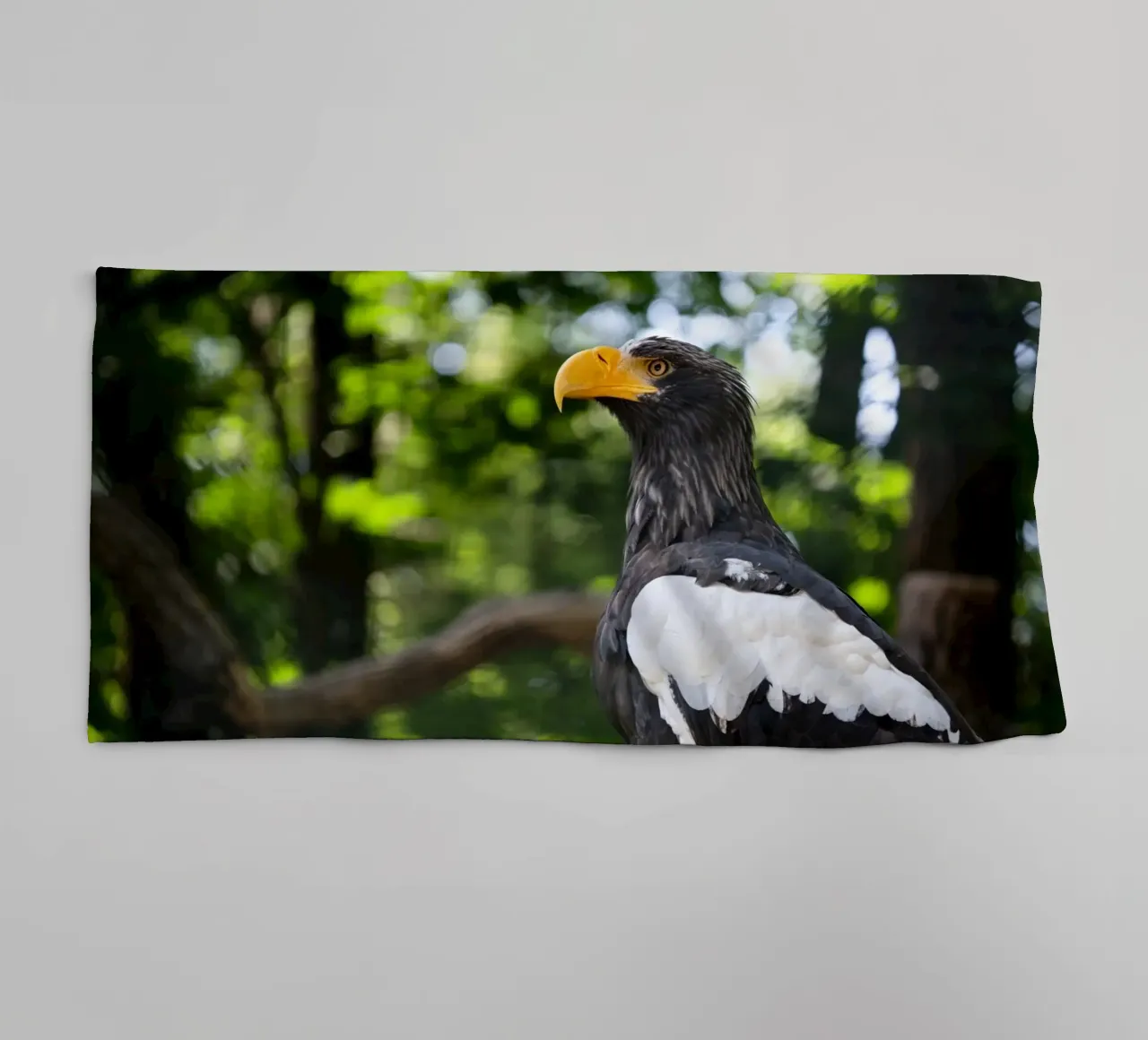 Close-up of an eagle in nature towel by DiveDuke