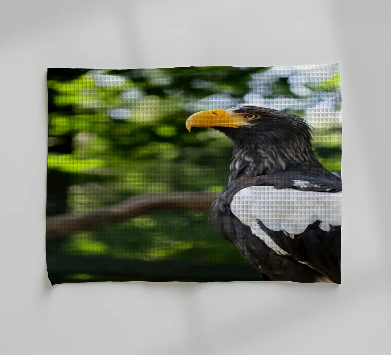 Adler in der Natur als Nahaufnahme Geschirrtuch von DiveDuke