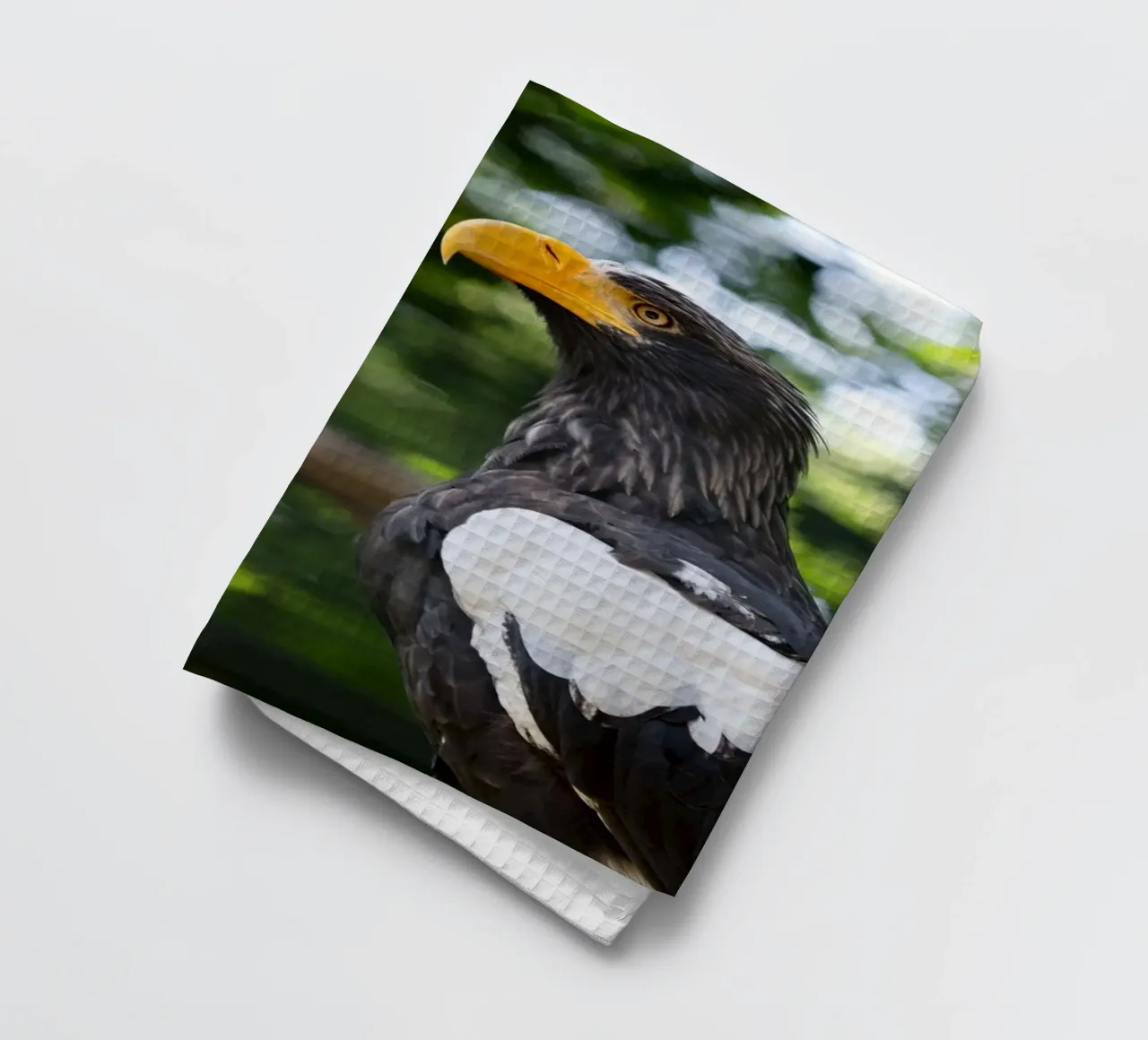 Adler in der Natur als Nahaufnahme Geschirrtuch von DiveDuke