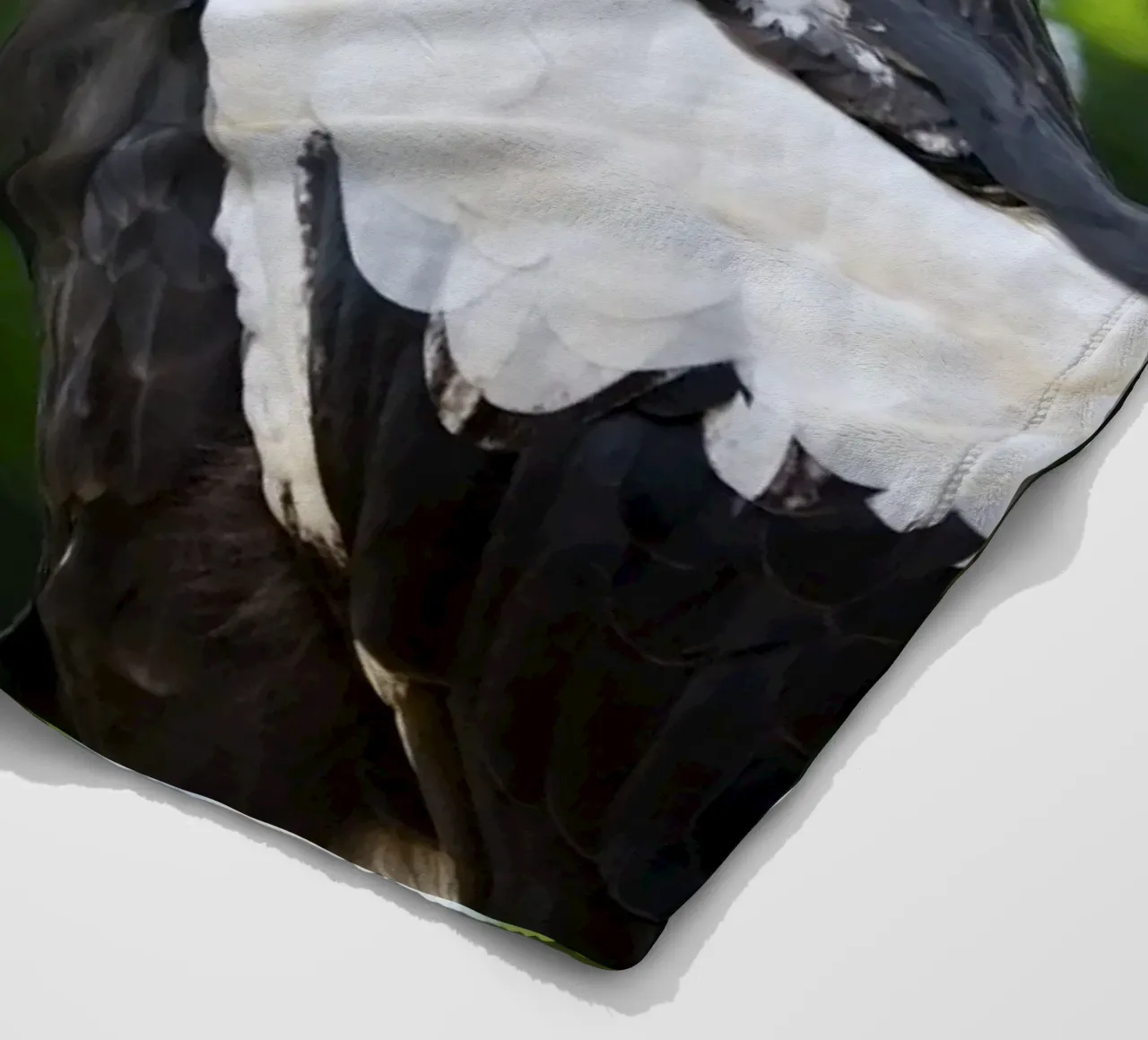 Primo piano di un'aquila in natura coperta in pile da DiveDuke