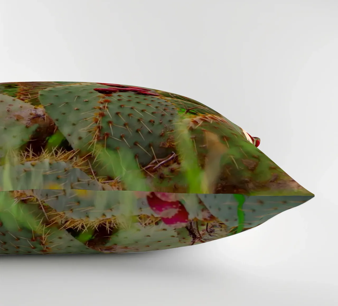 Cactus with prickly pears cuscino da Fjöllart