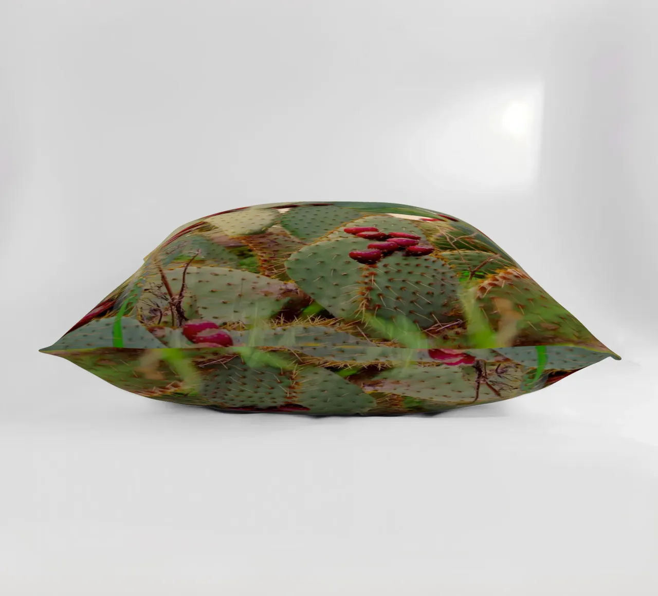 Cactus with prickly pears cuscino da Fjöllart