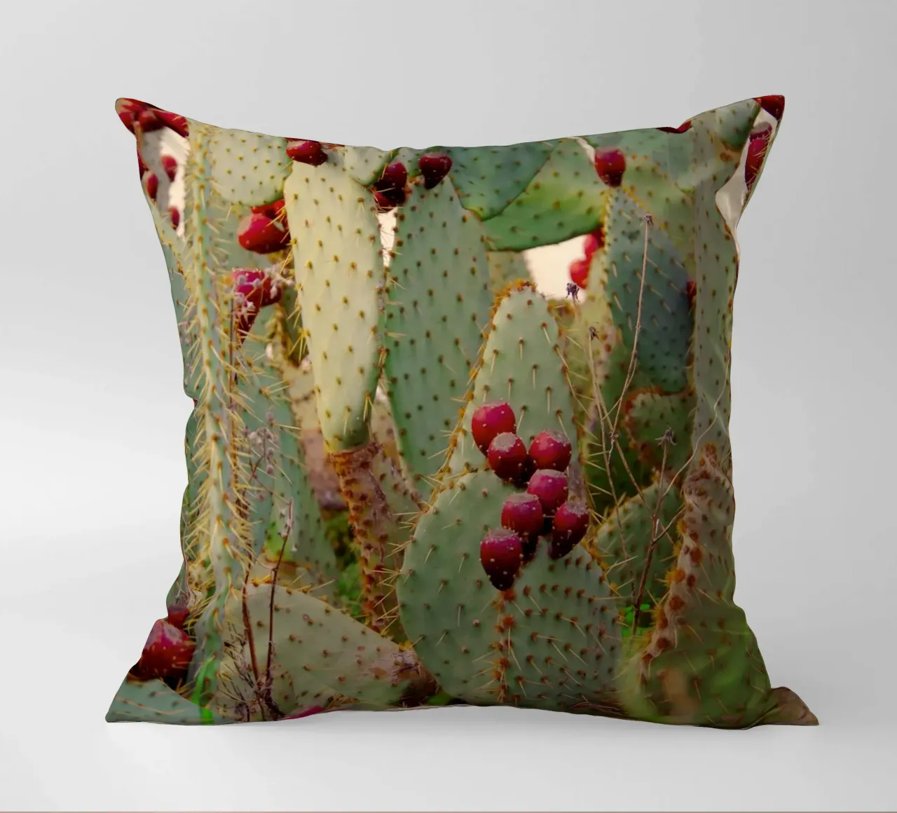 Cactus with prickly pears cuscino da Fjöllart