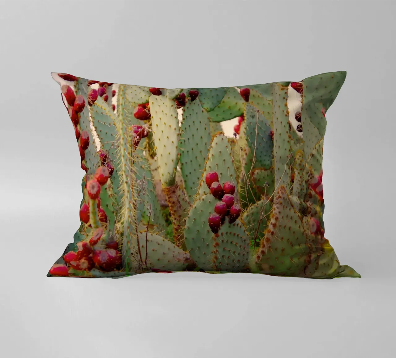 Cactus with prickly pears cuscino da Fjöllart