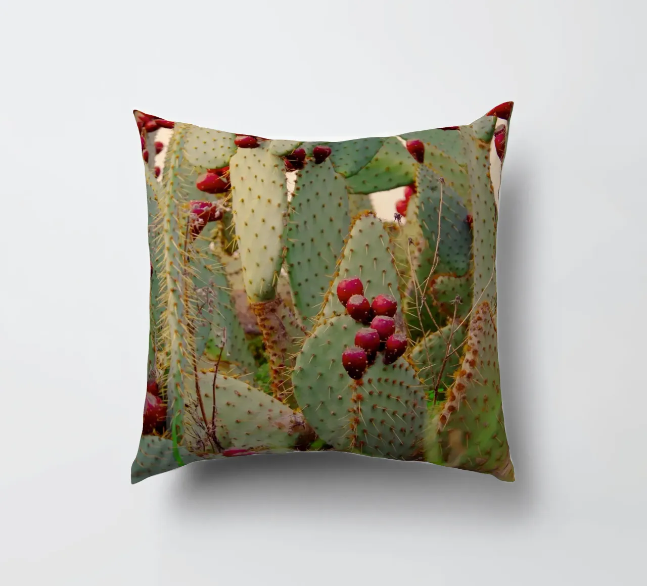 Cactus with prickly pears cuscino da Fjöllart