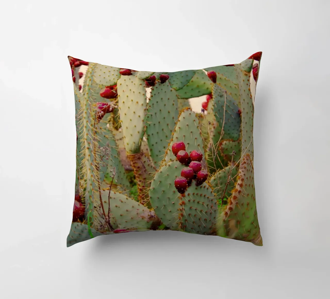 Cactus with prickly pears cuscino da Fjöllart