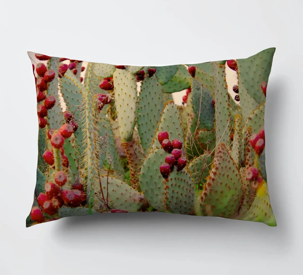 Cactus with prickly pears cuscino da Fjöllart